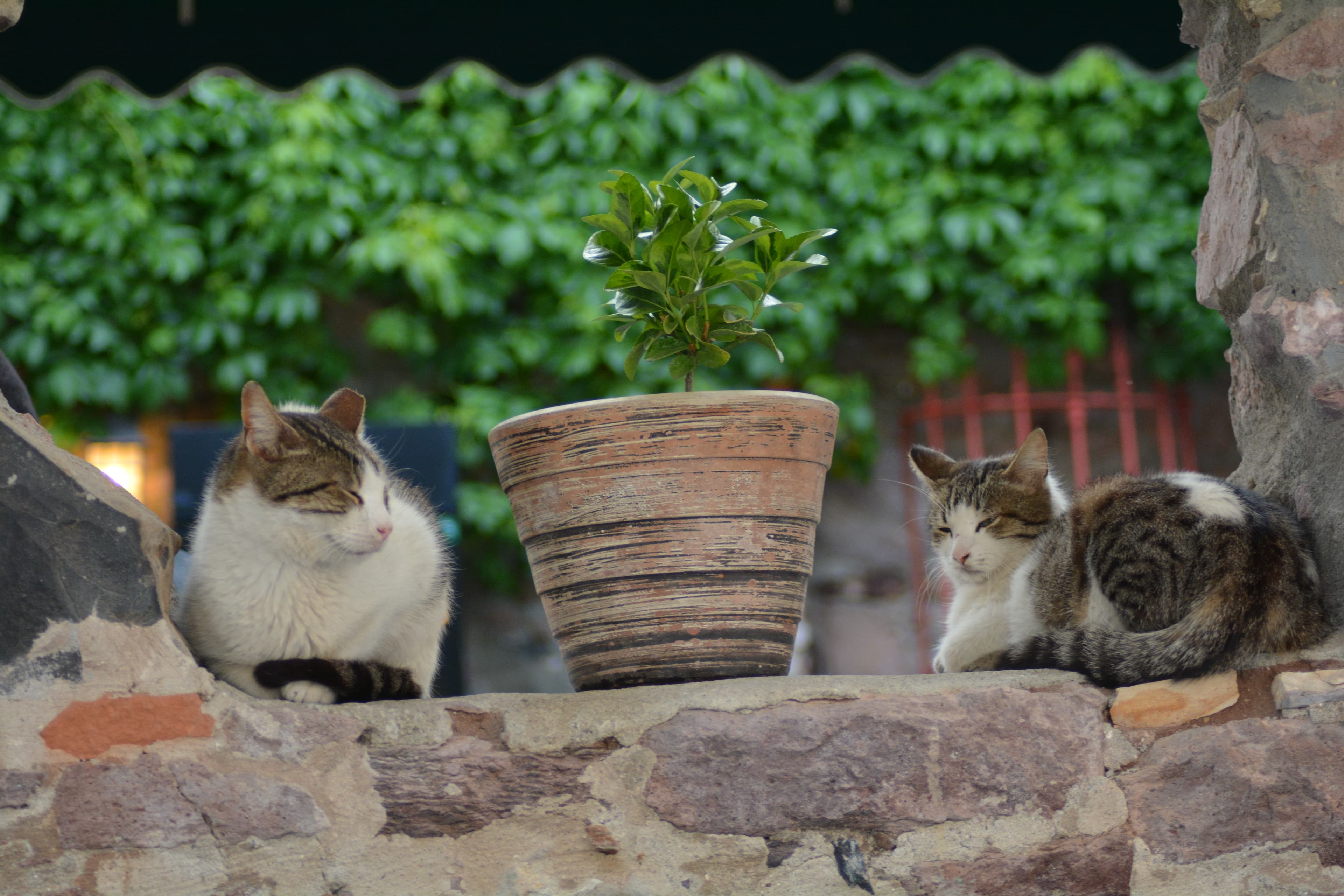 Cunda's stone corner.